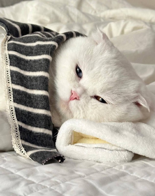 Укутываемся потеплее и спотб :3