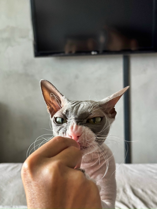 Случилась Стичевая фотосессия 💔