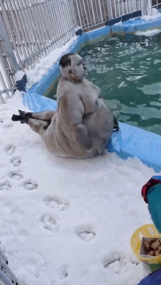 Норм