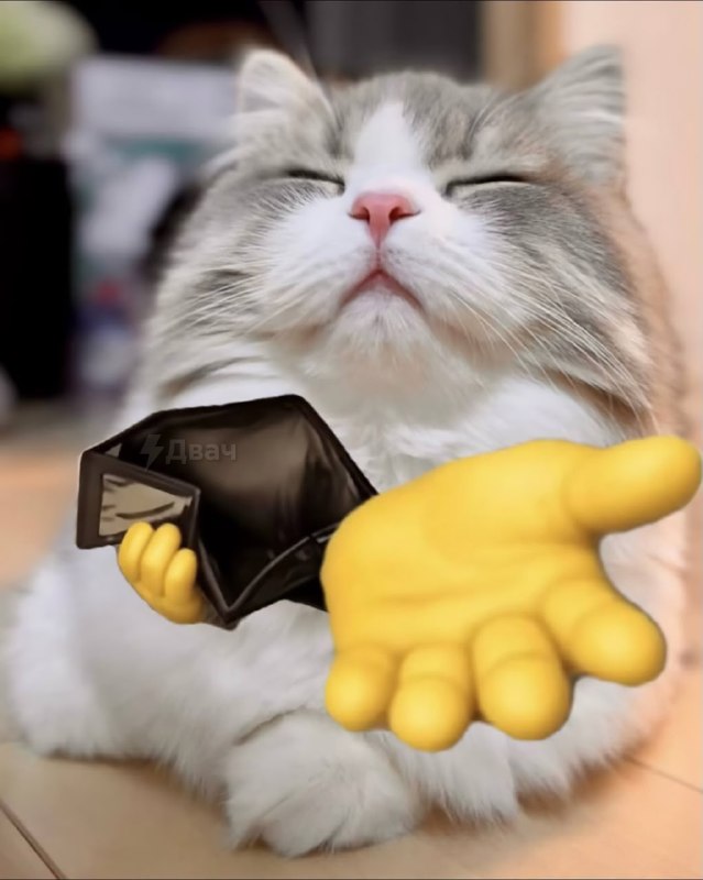 Новые звёзды соцсетей — коты, которые просят деньги
Японец сделал мемы из фотографий животных и эмо