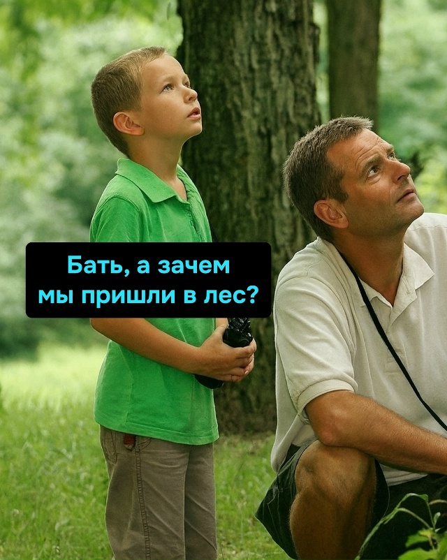 Когда ставки сыграли так, что теперь твой адрес: «дуб, п...