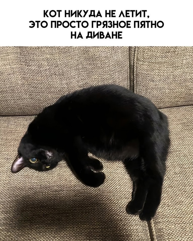 Это зрелище сломало мне зрение… и немного психику 😅
