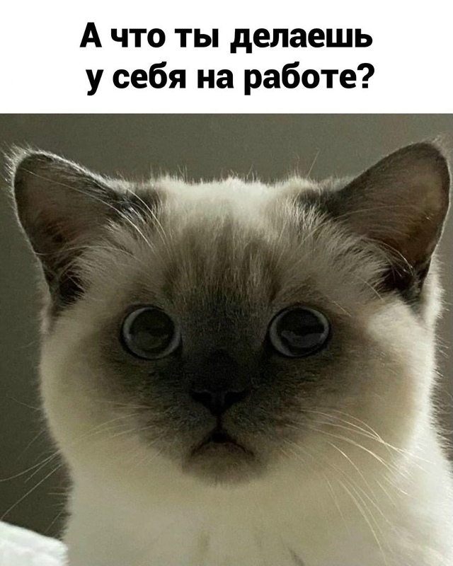 рабочие будни