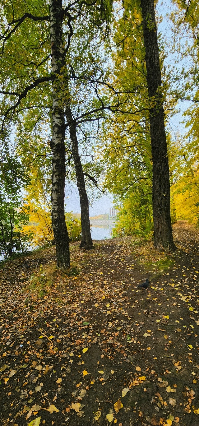 Осень в Балашихе😍