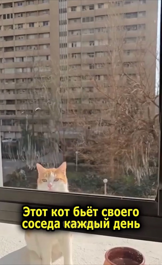 «Когда у тебя только одна цель в жизни — докопаться до ...