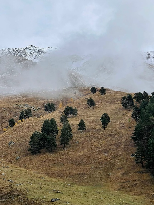Кабардино-Балкария 🇷🇺