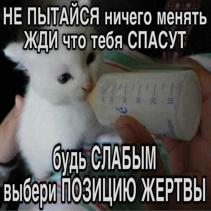 Ночная подборочка
Спать, режим