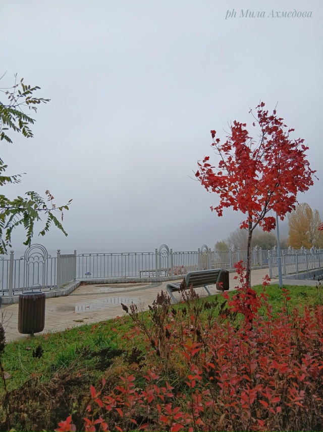 Туманы октября - это напоминание о том,
что все меняетс?...