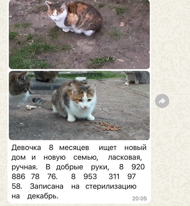 Добрый день 😊😊😊
Помогите распространить, Киров.
Ан...