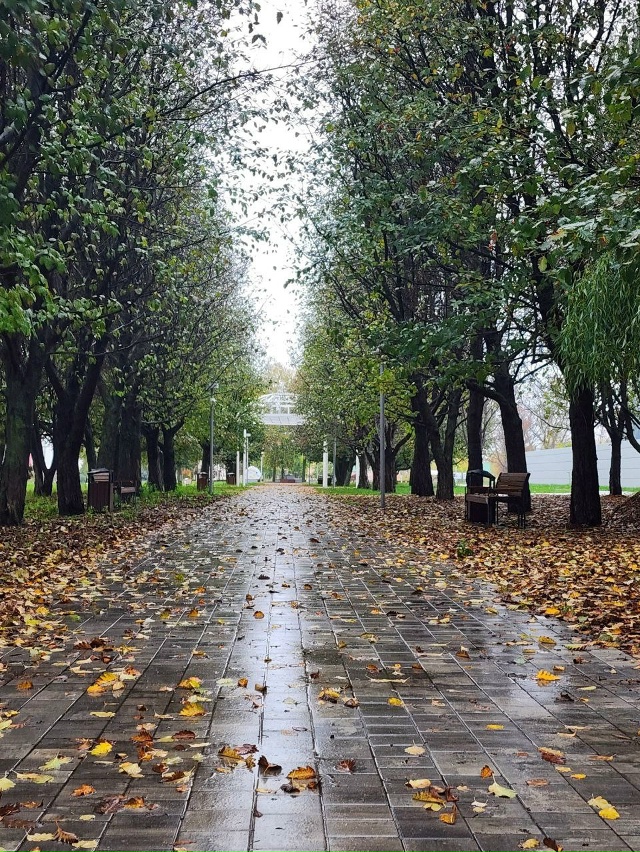 Золотая Осень 🍂