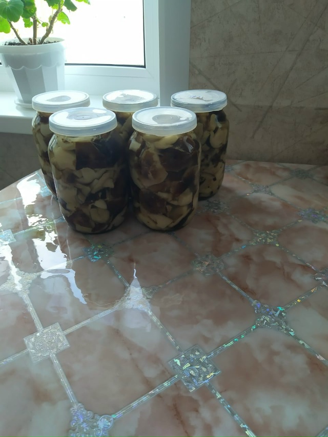 Анон
Последние грибочки в этом сезоне! Валуи солёные, л...