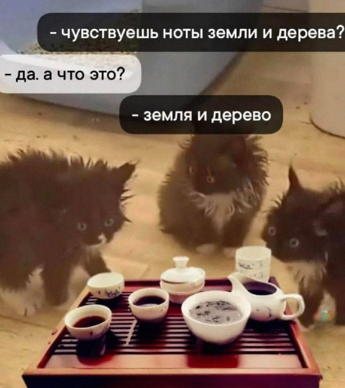 Утренняя подборочка