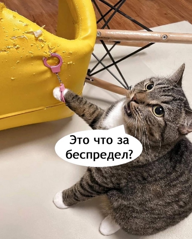 Поймали опасного преступника