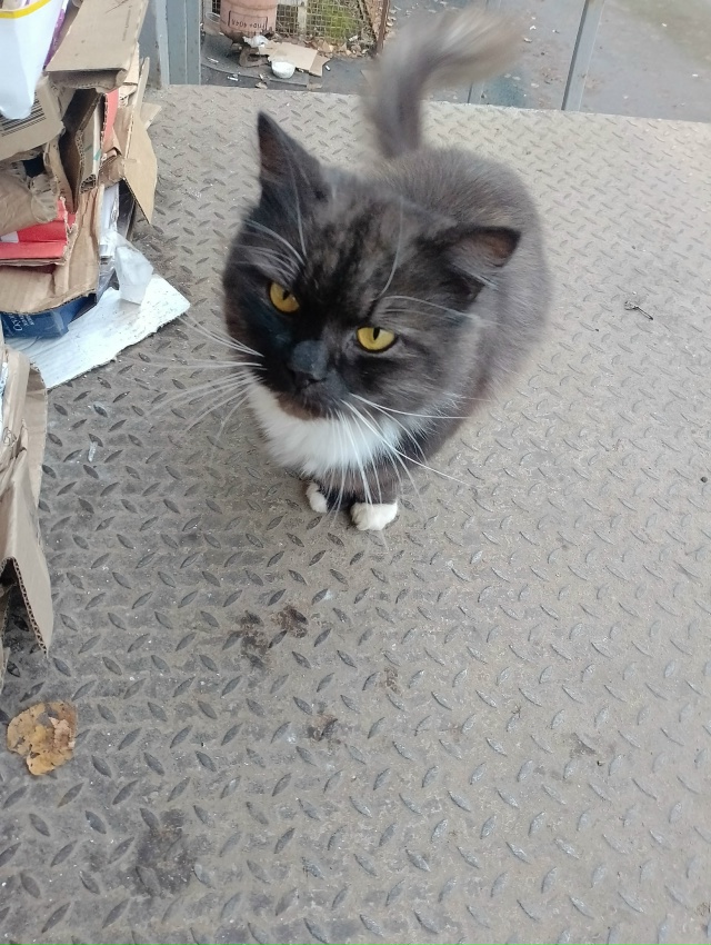 Здравствуйте. У пятерочки (ямская 1), со стороны служебн...