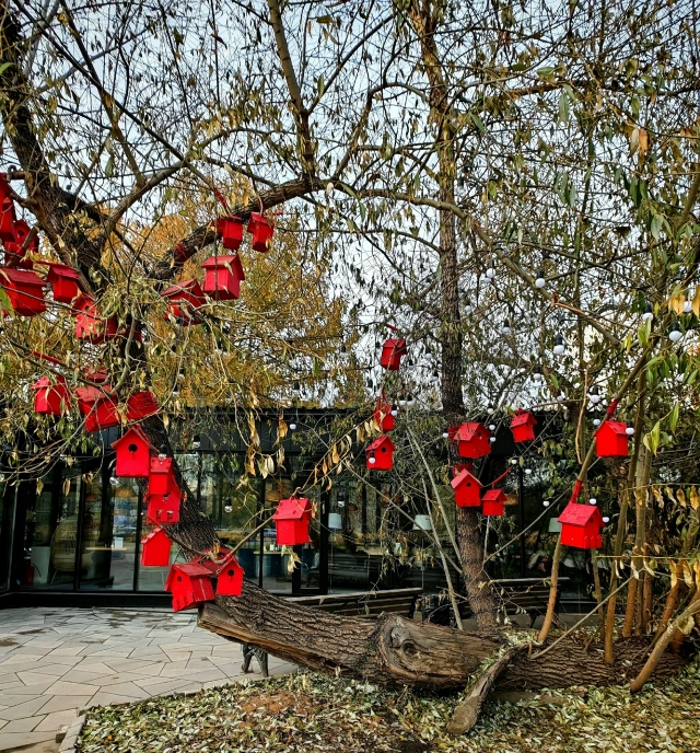 Дoмики для птичeк