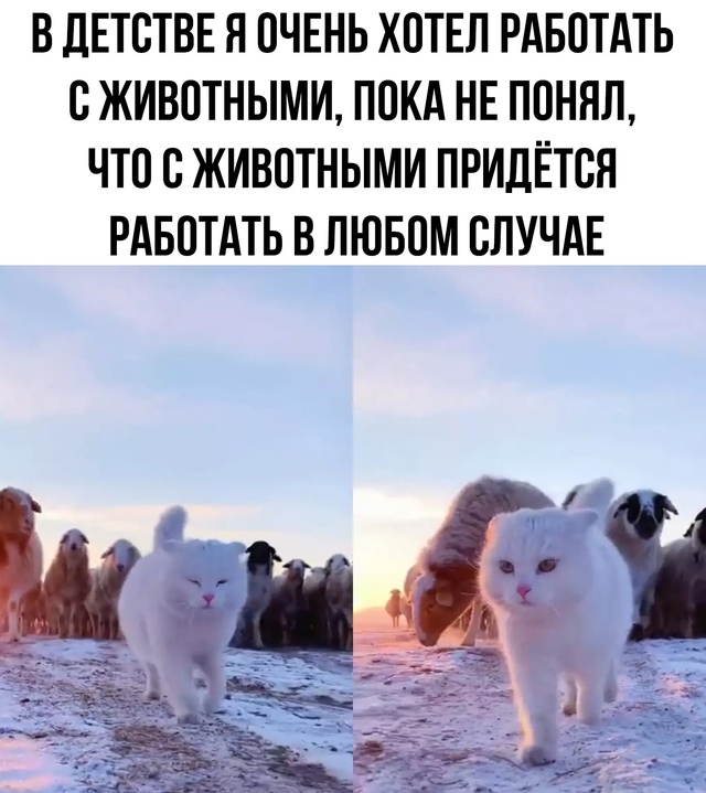 здесь и не поспоришь