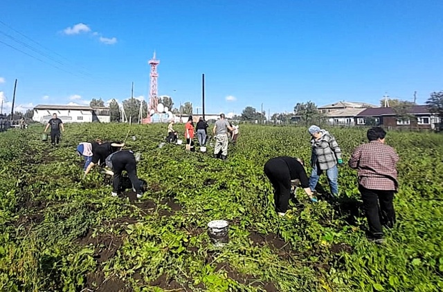 Воспитание трудолюбия и уважения к людям труда являет?...
