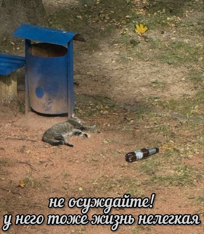 Ночная подборочка
Выходные, не спим