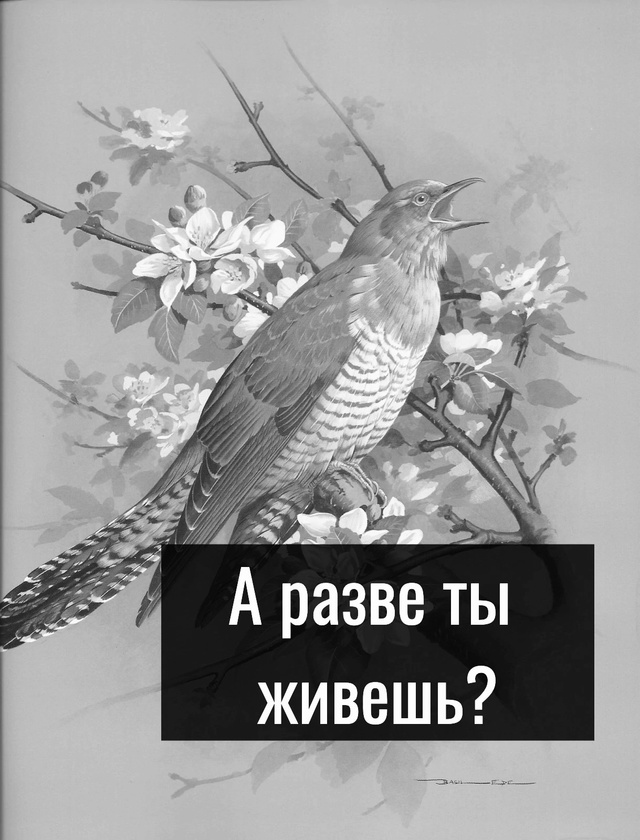 Спасибо за напоминание.