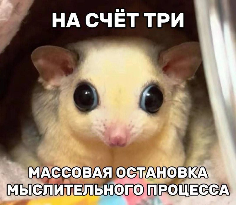 Утренняя подборочка