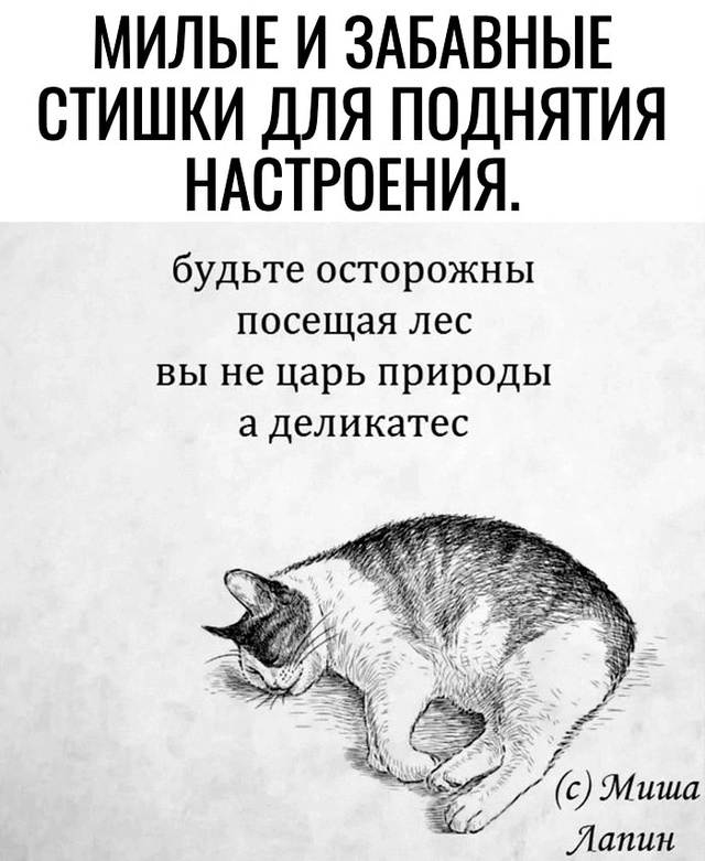 Для хорошего настроения стишки)