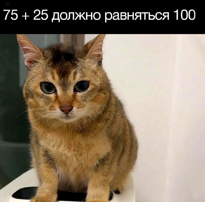 Утренняя подборочка