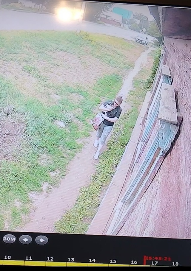 Забрали собаку возле дома на Щорса, просим вернуть, обр...