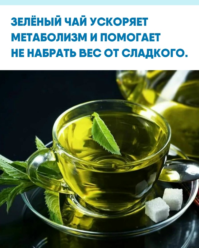 Учёные выяснили, что экстракт зелёного чая активирует ...