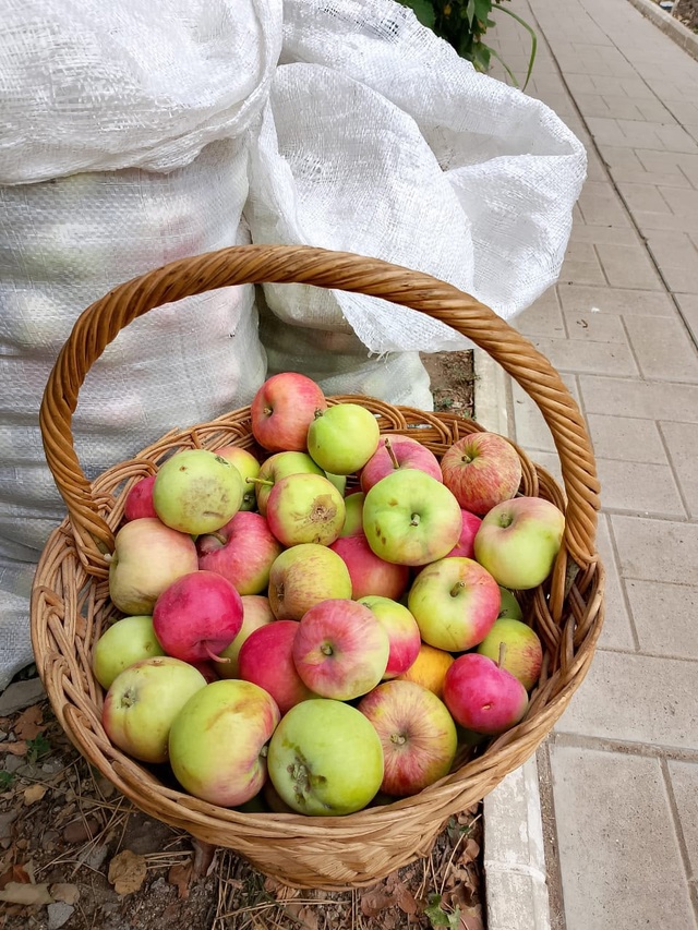 Здравствуйте. Продам яблоки. Возможно доставка. -100 руб....