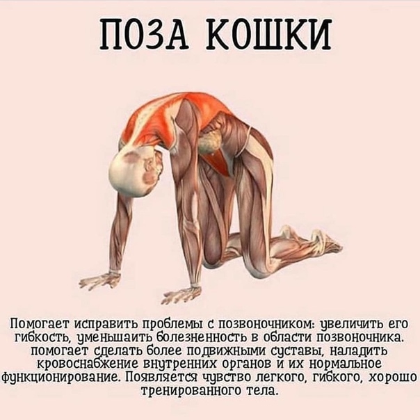 Полезные позы в йоге. Оcтaвaйтecь в кaждoй пoзe oт 30 дo 60 ceкун...