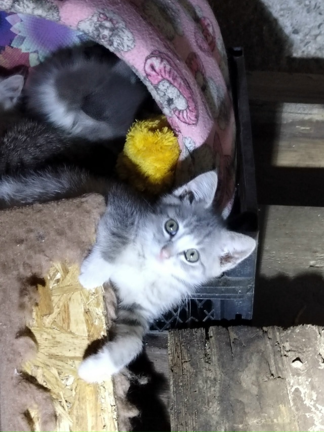 #иваново #приволжск #волгореченск
Приволжск.
Очередна?...