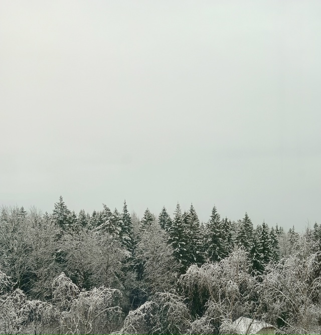 Снежный лес🌲❄️
Ждём ваши снежные фото