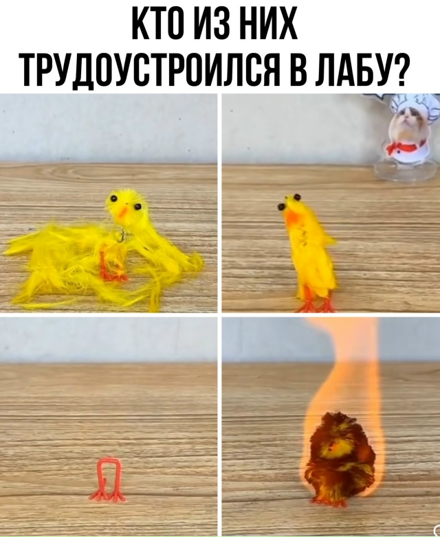 Если кому-то удобнее читать нас в телеграме, напоминае?...