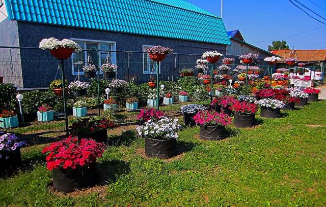 Вот такую красоту у себя обустроил подписчик 🌺