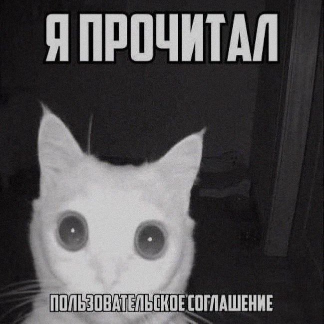 Утренняя подборочка