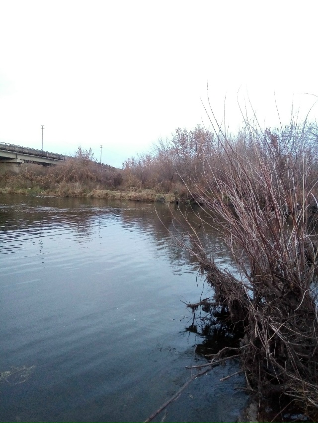 Немного позитива в ленту.На снимках,октябрь 2025 года,на ...