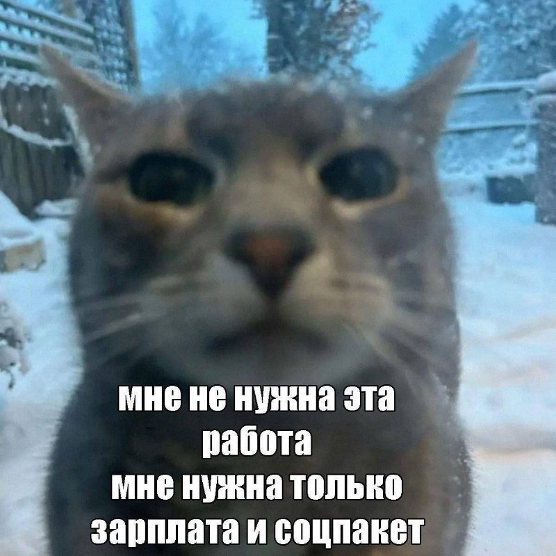 Утренняя подборочка