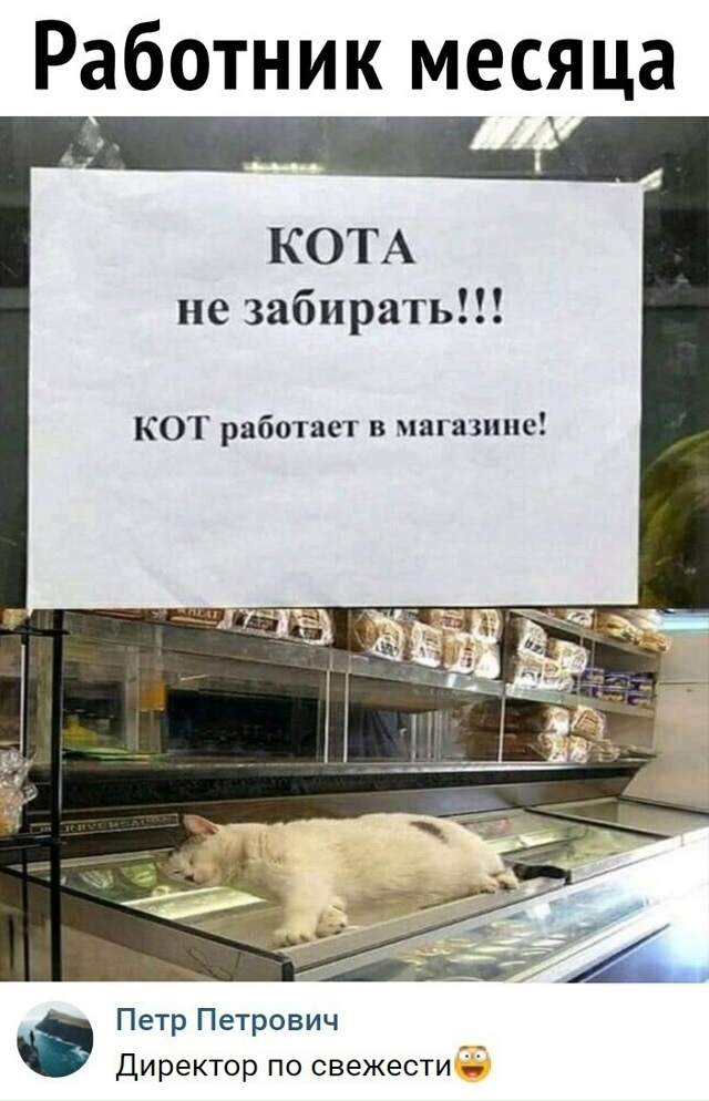 Безумные приколы