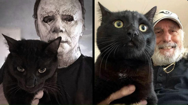 Ник Касл, актер, сыгравший Майкла Майерса, со своим кот?...