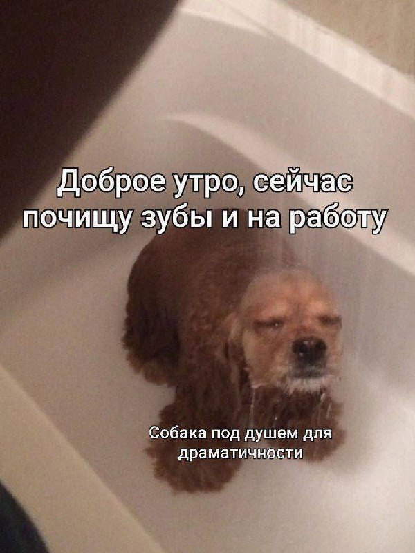 Утренняя подборочка