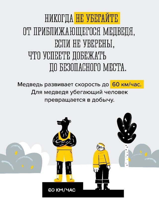 🐻Бурый медведь – крупный, опасный для человека хищни?...