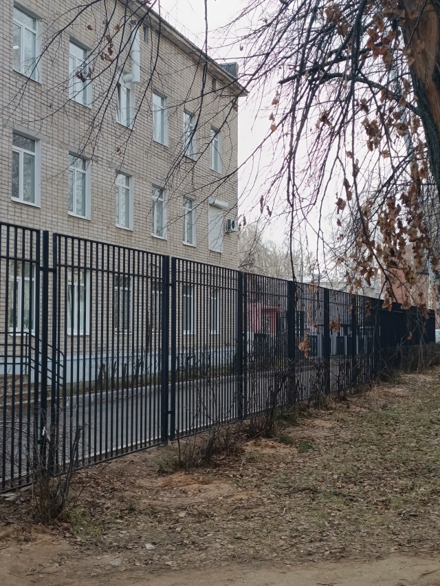 Внушительный забор. От кого огорадились?