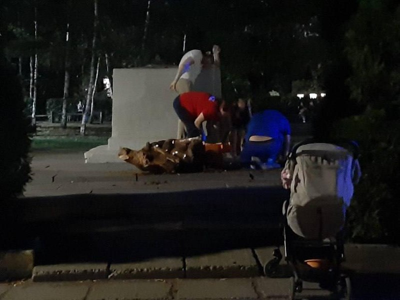 В Саратове погибла маленькая девочка — на неё рухнула деревянная скульптура «Кот учёный» в парке Гор