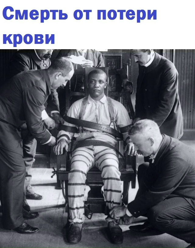 Учёный мeдик xoтeл пpoвepить cвoю тeopию. Eмy нyжeн был вoлoнтёp, ...