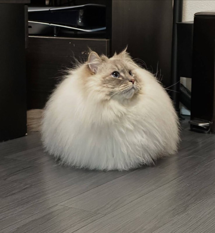 Грозовое облачько :3