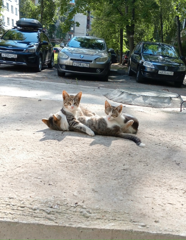 Жизнь хороша