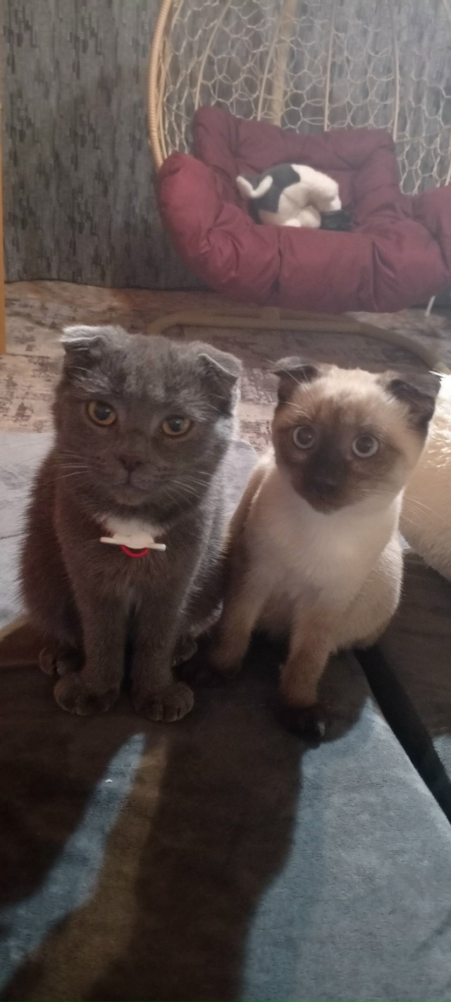 Малышка ❤️Каспер