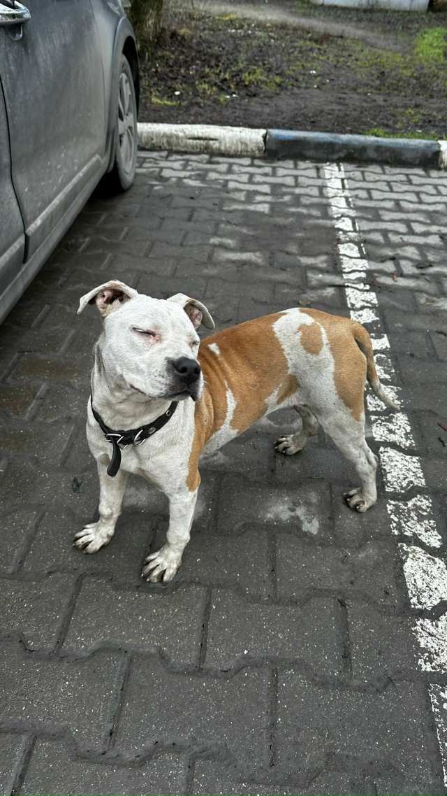 01.12.2025 в 13:00 на заправку Роснефть (при выезде из города в...