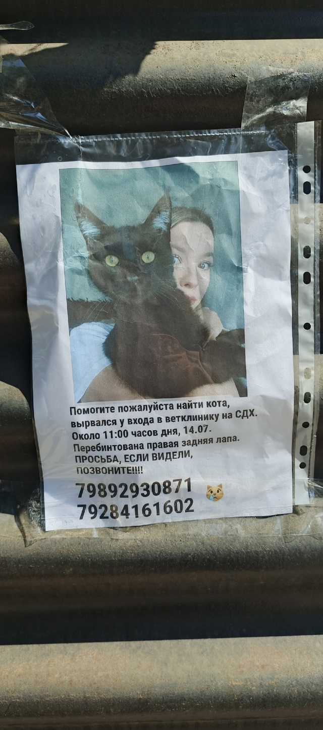 Анон