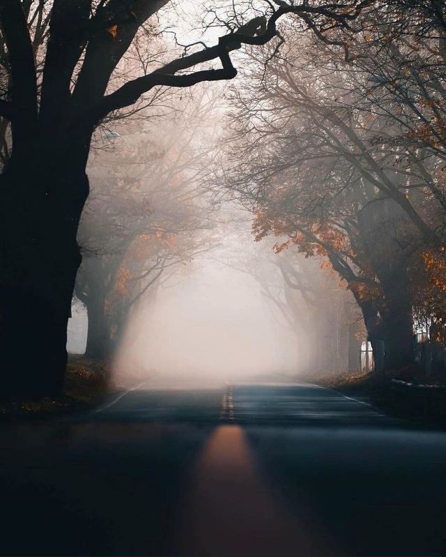 Чтобы найти верную дорогу, сначала надо заблудиться.